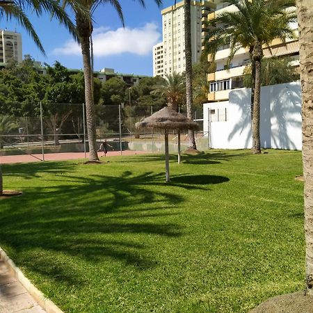 Estudio Paraiso اغوادولس المظهر الخارجي الصورة