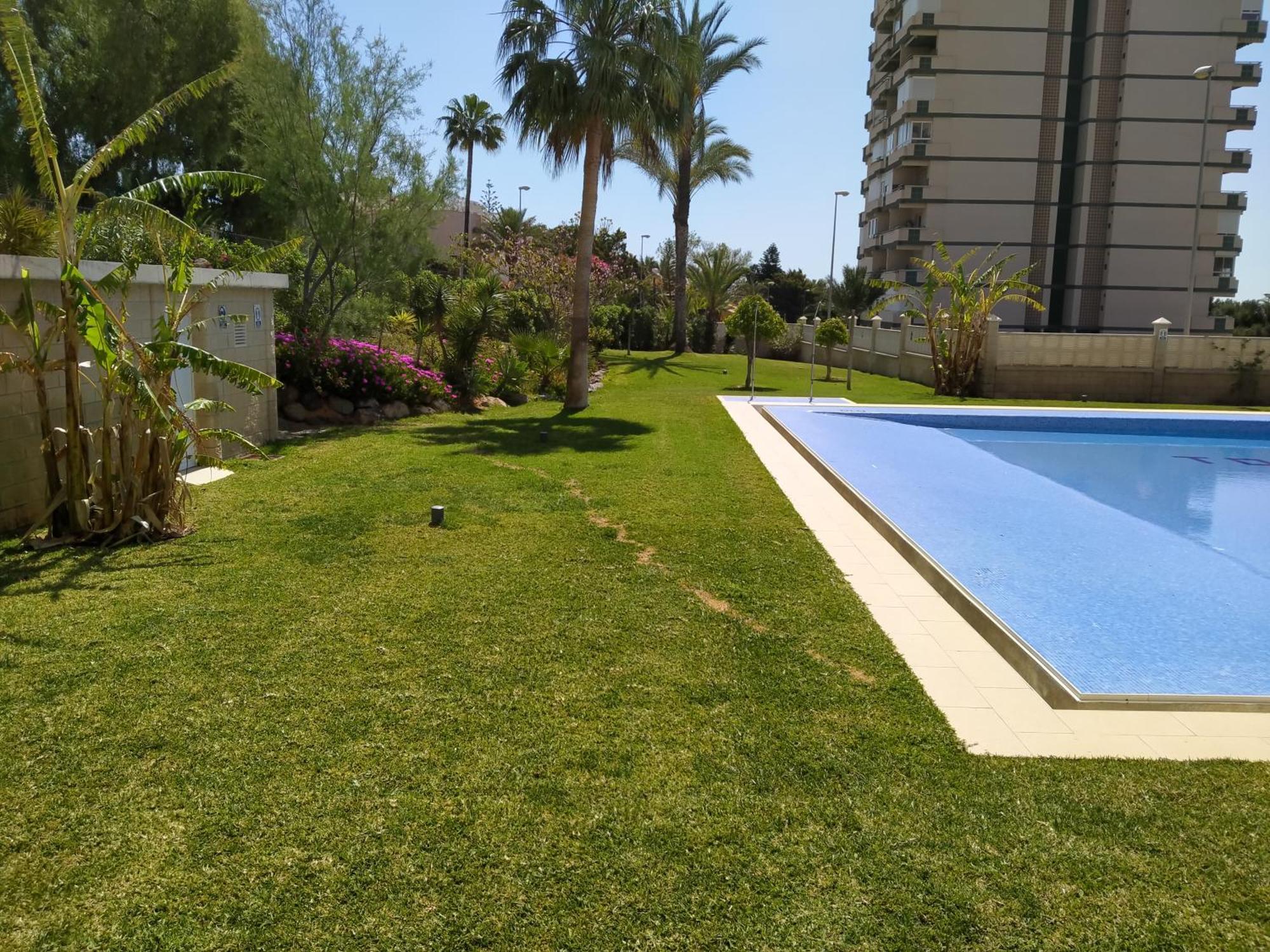 Estudio Paraiso اغوادولس المظهر الخارجي الصورة