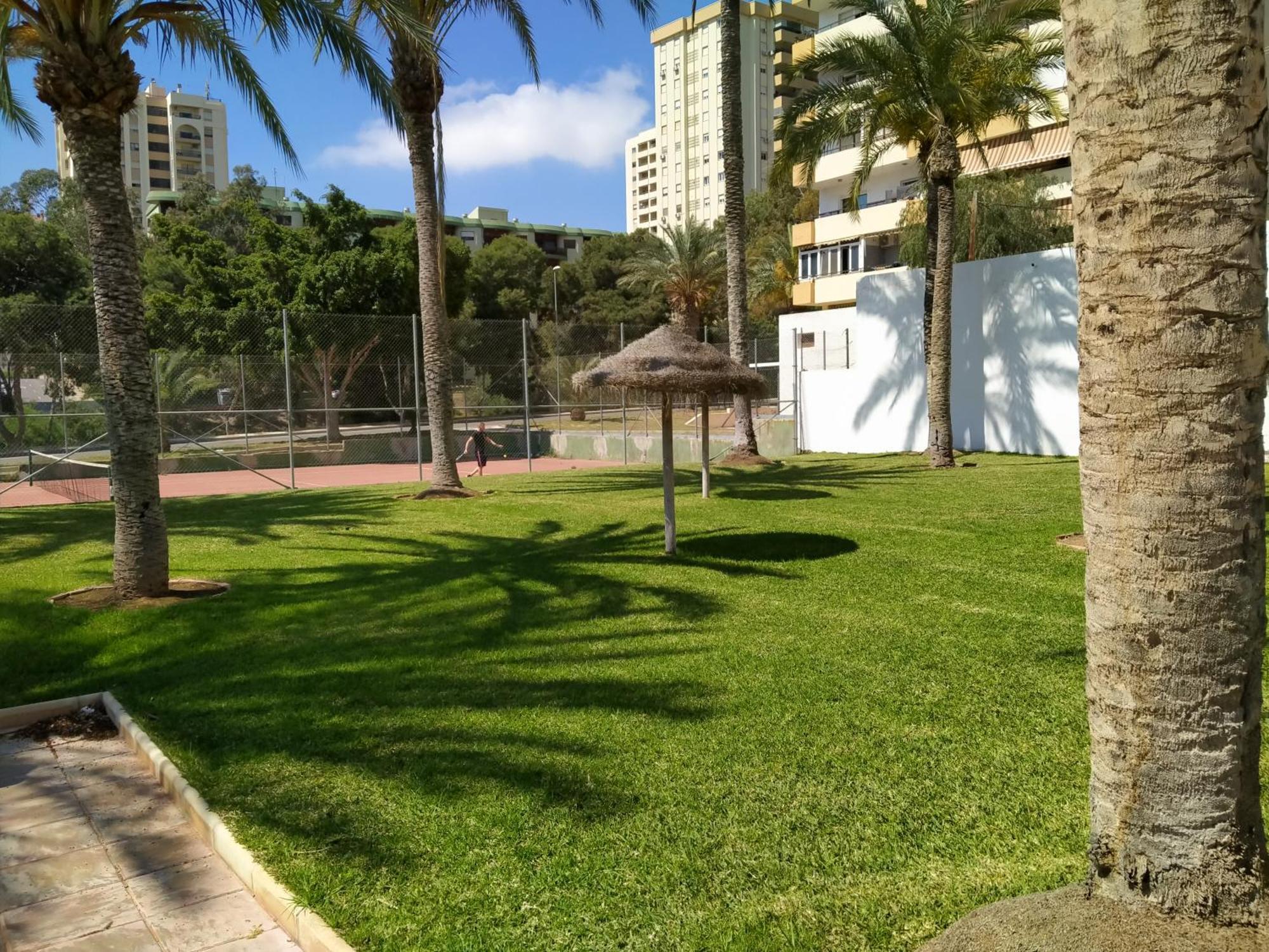 Estudio Paraiso اغوادولس المظهر الخارجي الصورة